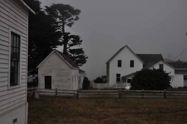 Pierce Point Ranch